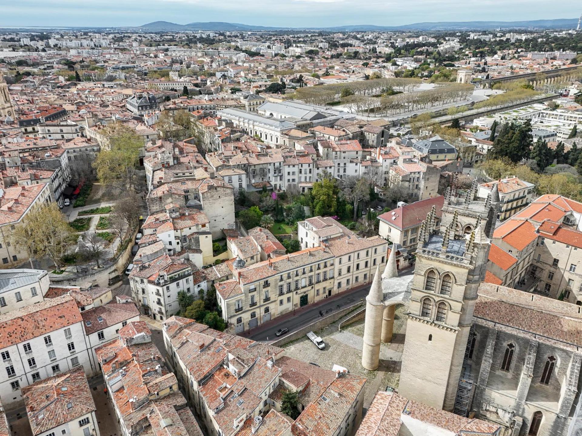 La Terrasse, Vue Sur Les Toits De Montpellier Apartamento Exterior foto
